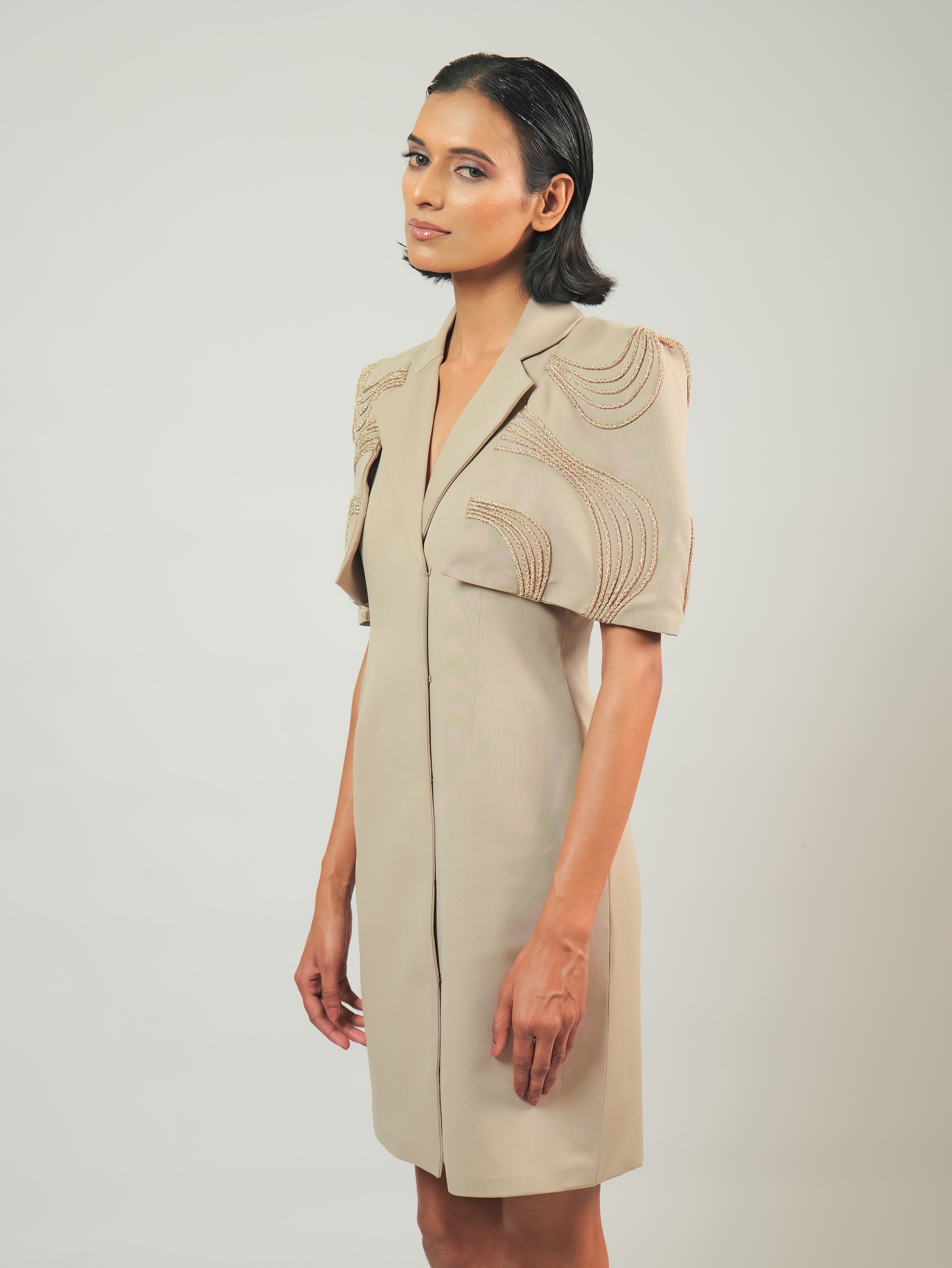 Gold Lining Dress