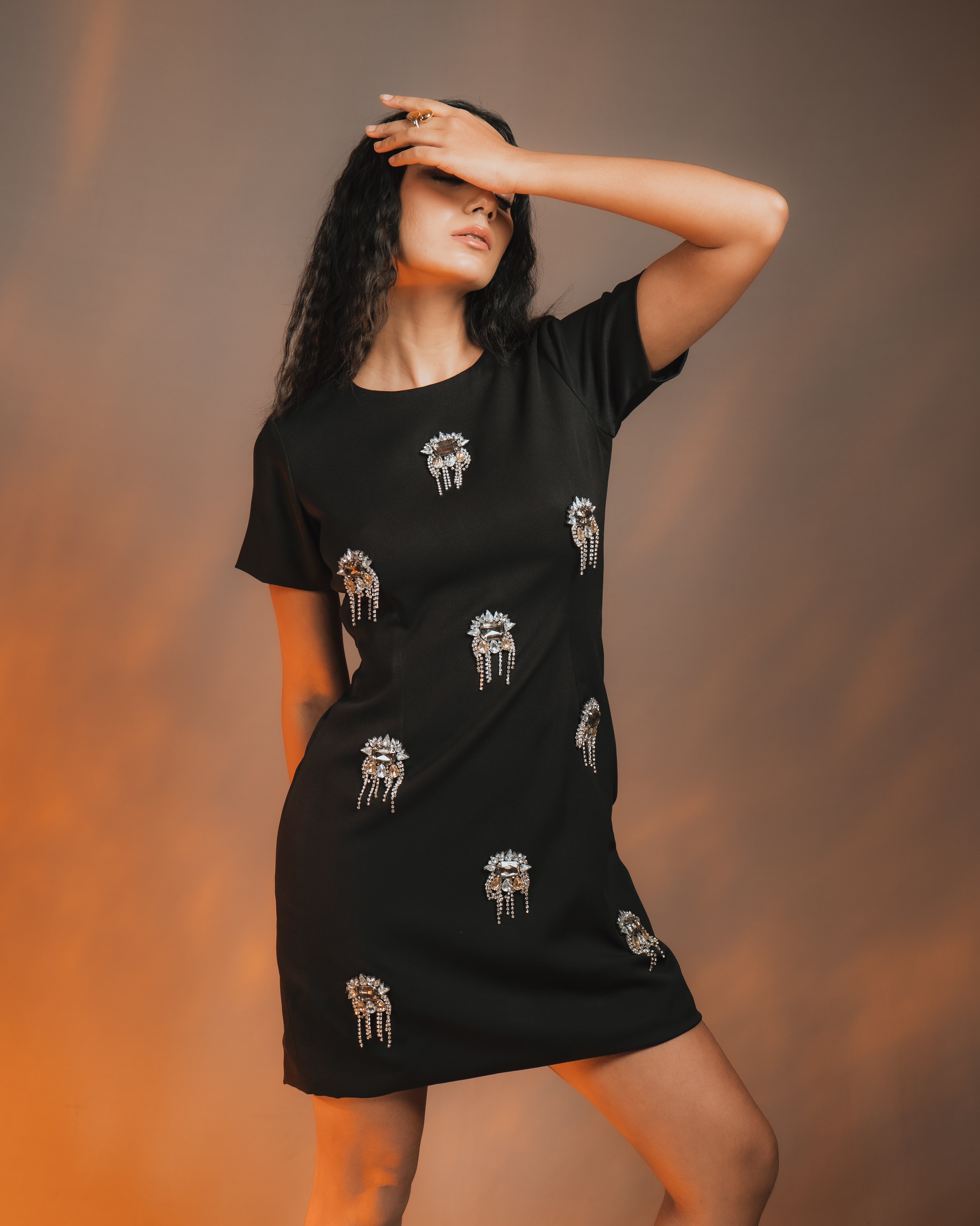 Baroque Embellished Dress